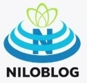 تیم تربیت مراغه
